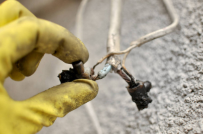 Burnt wires pulled out of outdated outlet at Greeley residential home.